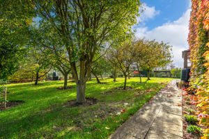 Side garden- click for photo gallery